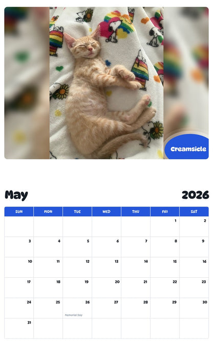 2026 - 2027 Creamsicle - Pawidols Pet Calendar