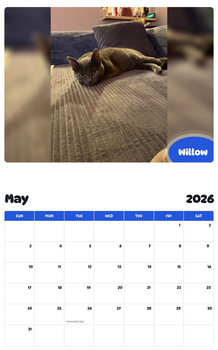 2026 - 2027 Willow - Pawidols Pet Calendar