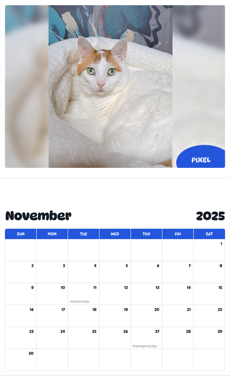 July 2025 - June 2026 Pixel - Pawidols Pet Calendar
