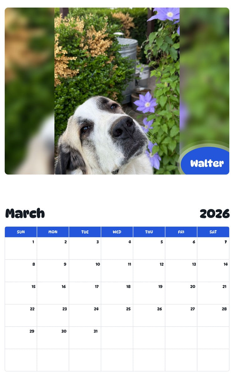 November 2025 - October 2026 Walter - Pawidols Pet Calendar