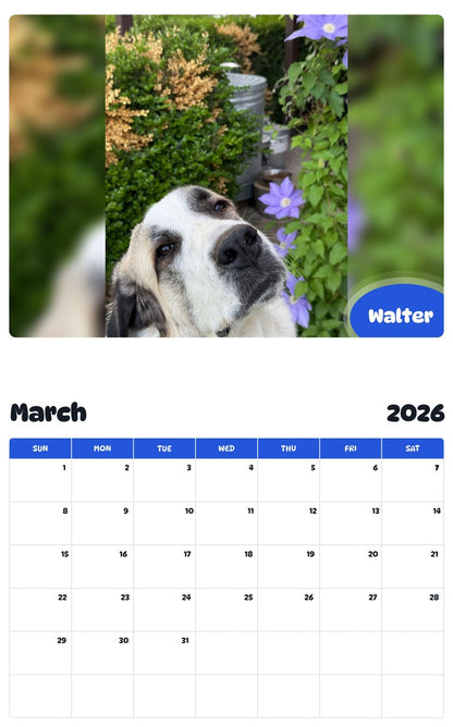 November 2025 - October 2026 Walter - Pawidols Pet Calendar