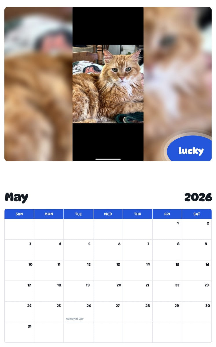 2026 - 2027 lucky - Pawidols Pet Calendar