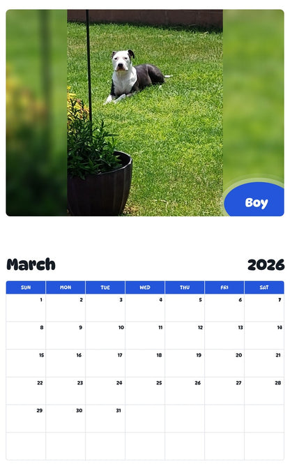 November 2025 - October 2026 Boy - Pawidols Pet Calendar