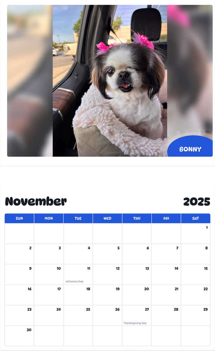 July 2025 - June 2026 Bonny - Pawidols Pet Calendar