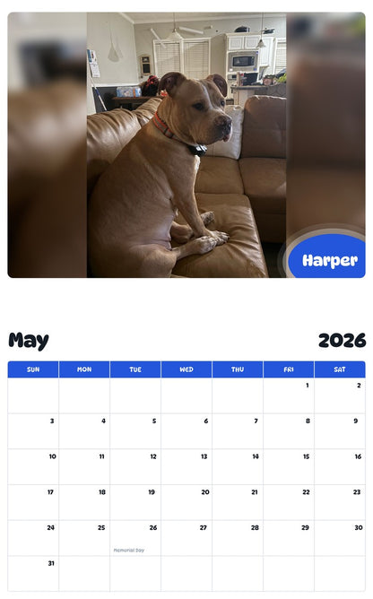 2026 - 2027 Harper - Pawidols Pet Calendar