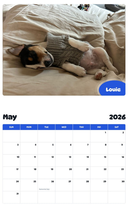 2026 - 2027 Louie - Pawidols Pet Calendar