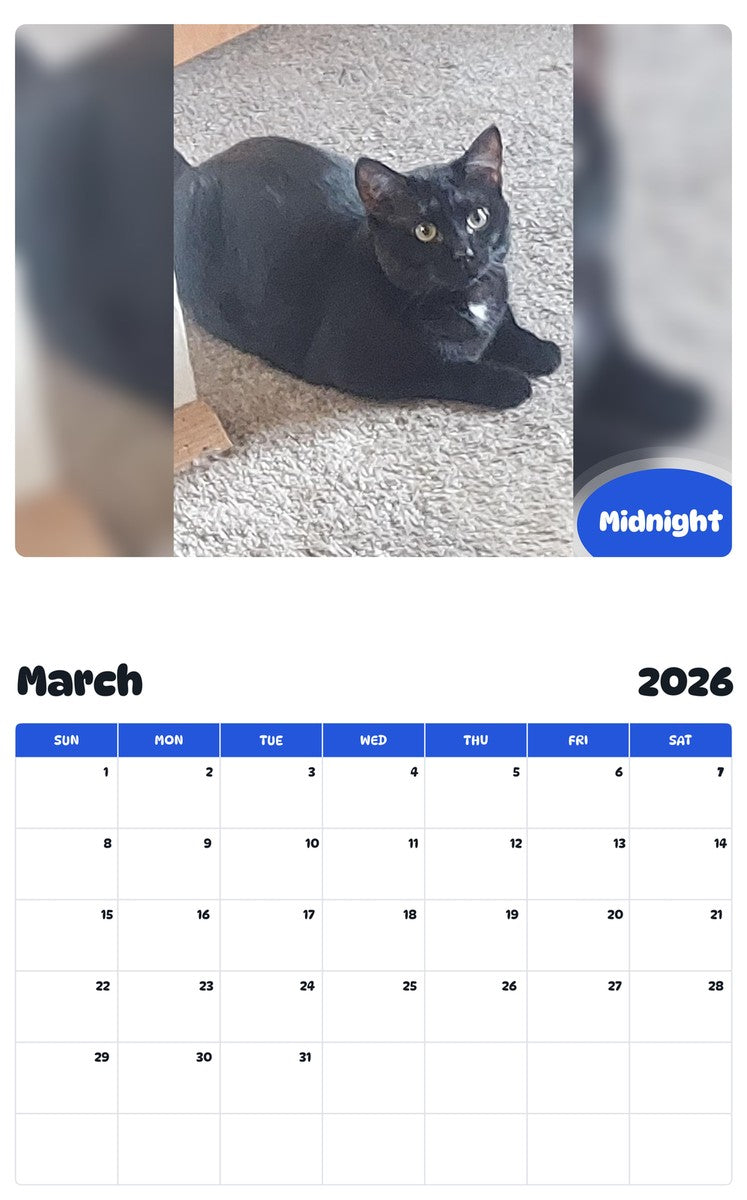 November 2025 - October 2026 Midnight - Pawidols Pet Calendar