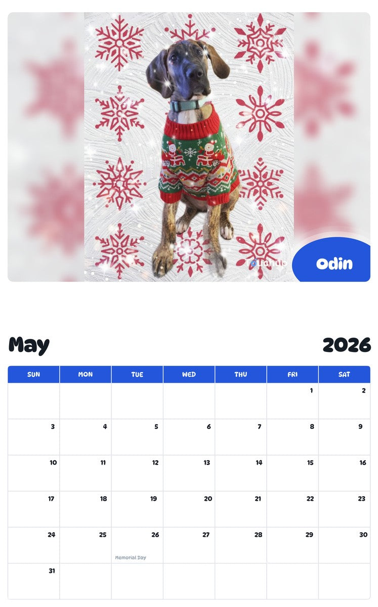 2026 - 2027 Odin - Pawidols Pet Calendar
