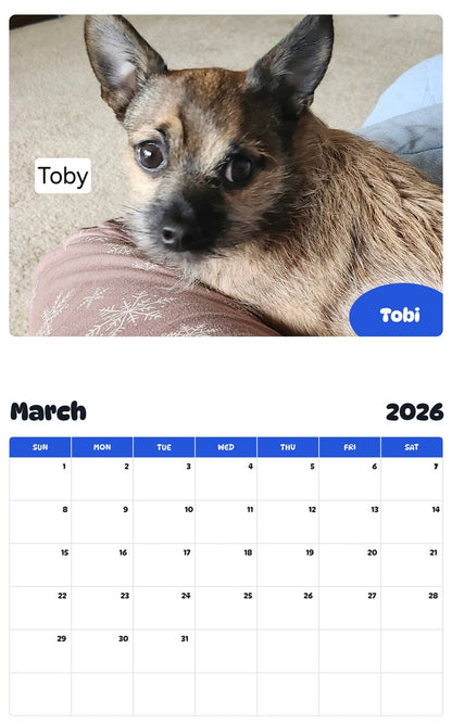 November 2025 - October 2026 Tobi - Pawidols Pet Calendar