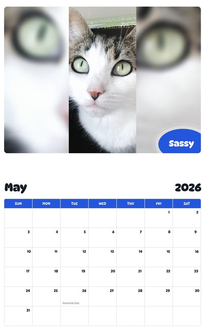 2026 - 2027 Sassy - Pawidols Pet Calendar