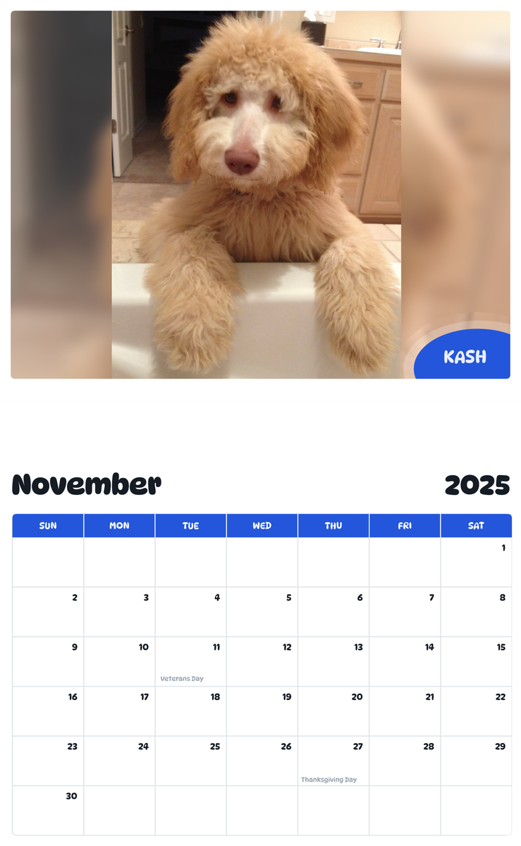 July 2025 - June 2026 Kash - Pawidols Pet Calendar