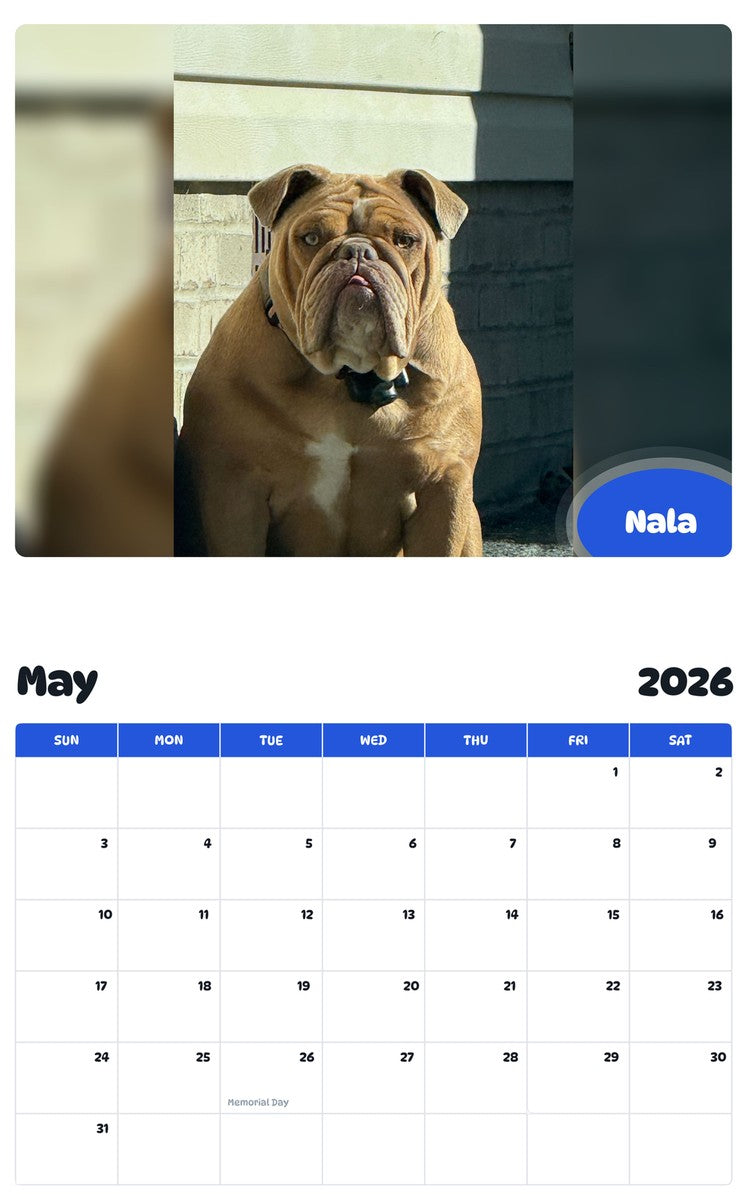 2026 - 2027 Nala - Pawidols Pet Calendar