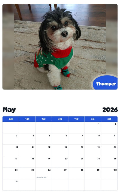 2026 - 2027 Thumper - Pawidols Pet Calendar