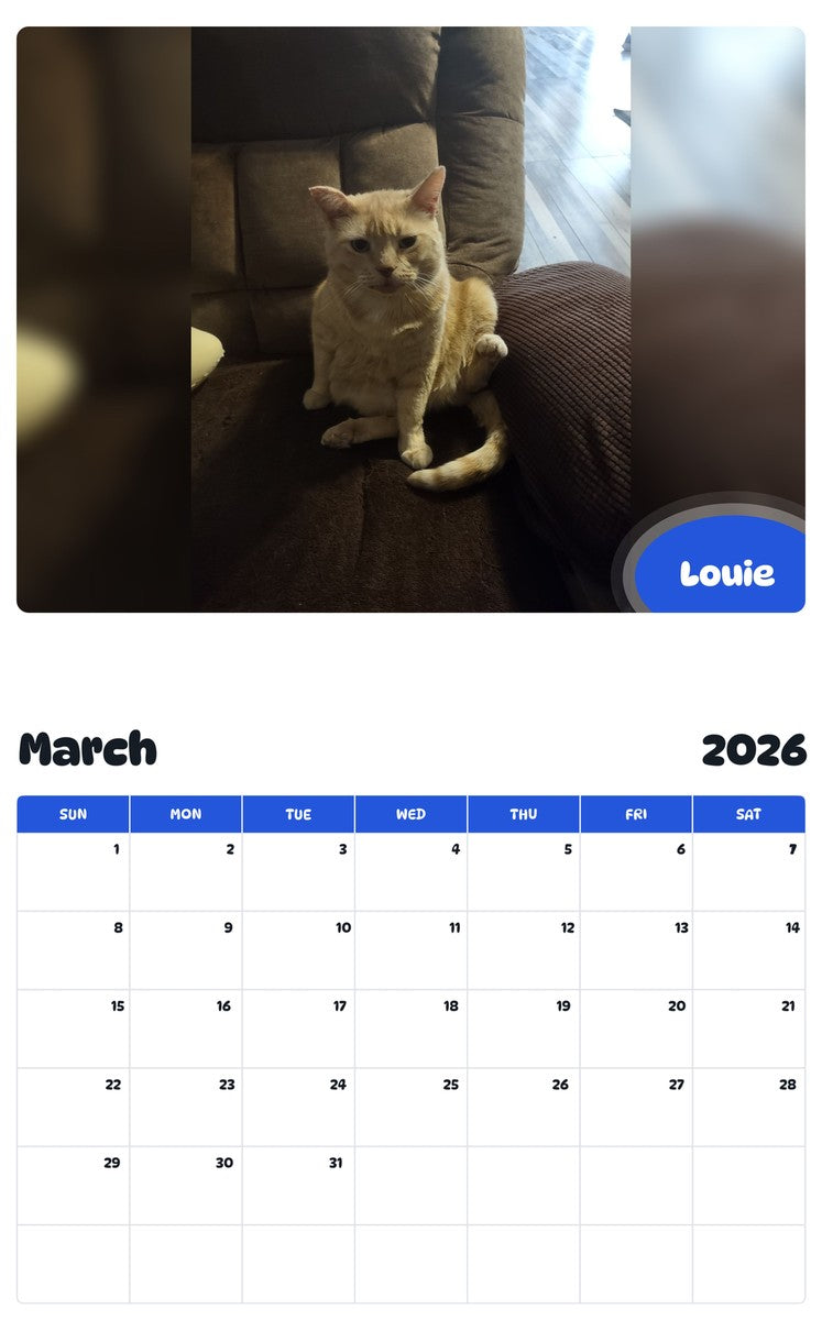November 2025 - October 2026 Louie - Pawidols Pet Calendar