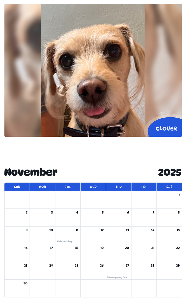 July 2025 - June 2026 Clover - Pawidols Pet Calendar