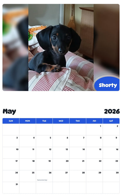 2026 - 2027 Shorty - Pawidols Pet Calendar