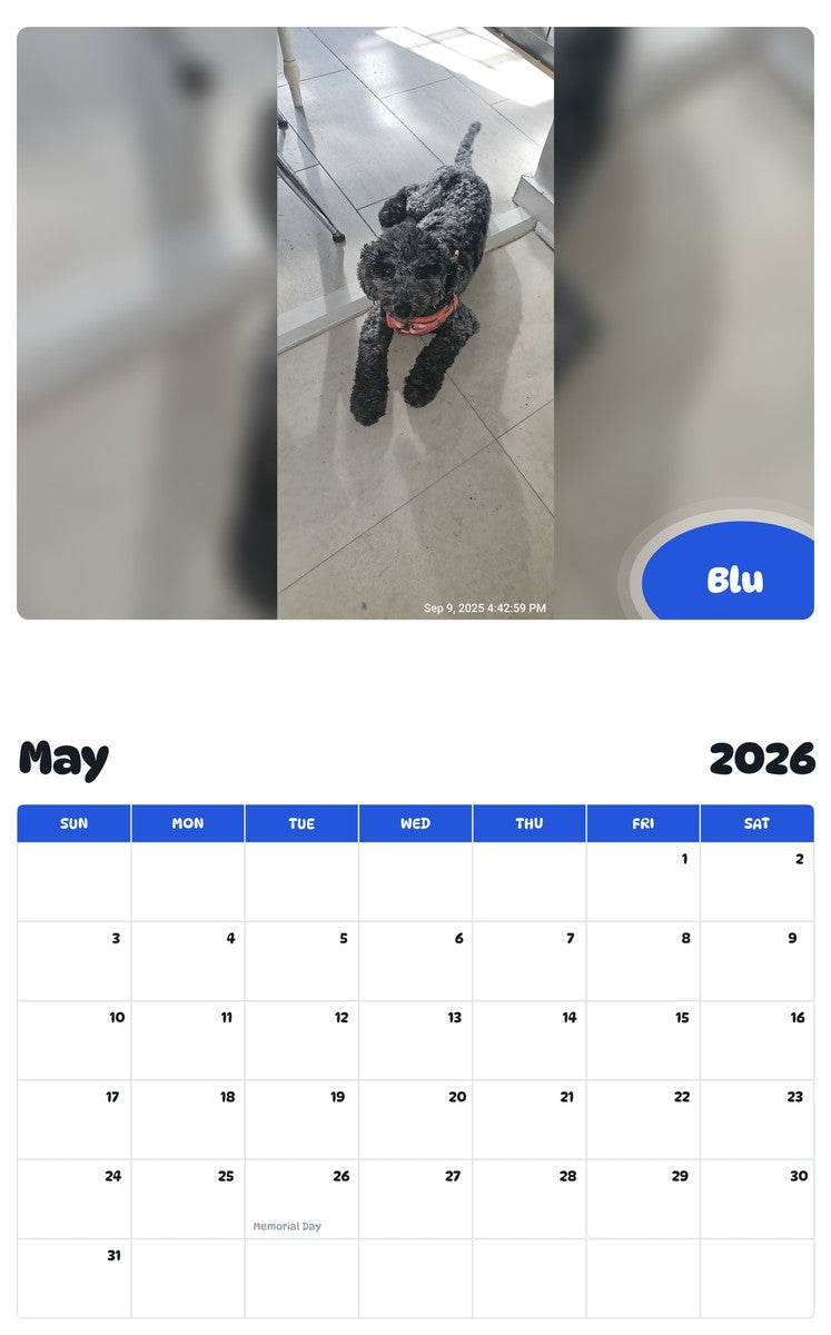 2026 - 2027 Blu - Pawidols Pet Calendar