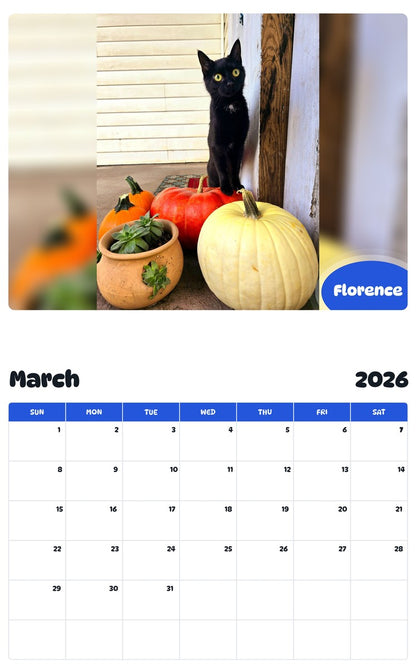 November 2025 - October 2026 Florence - Pawidols Pet Calendar