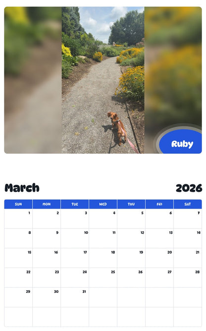 November 2025 - October 2026 Ruby - Pawidols Pet Calendar