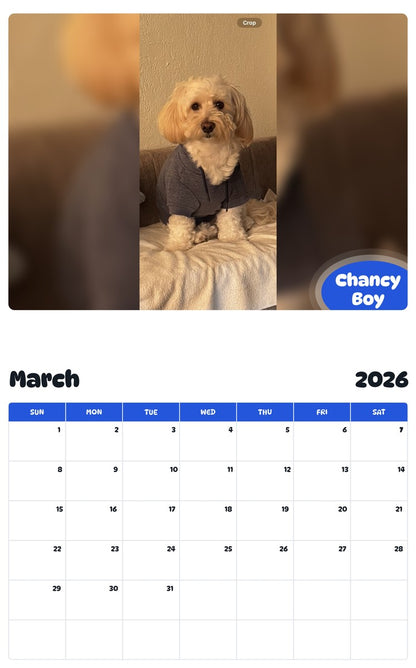 November 2025 - October 2026 Chancy Boy - Pawidols Pet Calendar