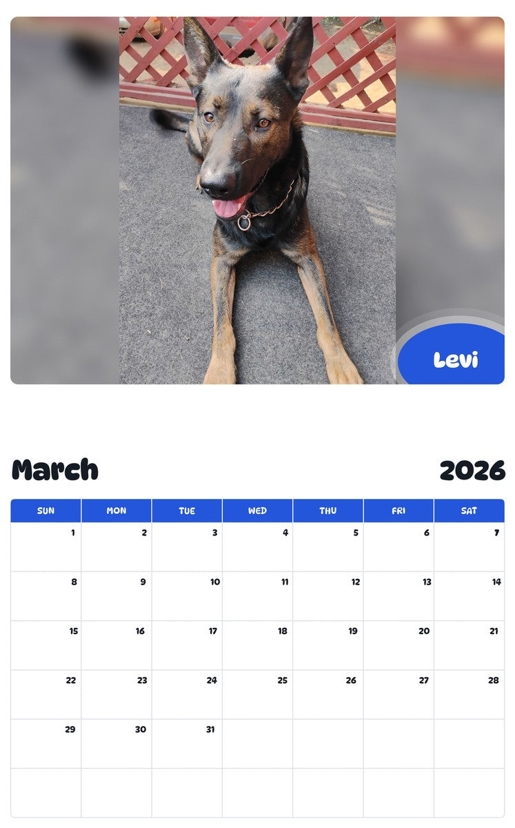 November 2025 - October 2026 Levi - Pawidols Pet Calendar