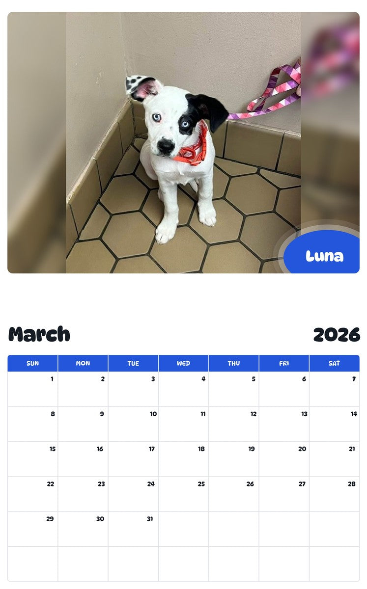 November 2025 - October 2026 Luna - Pawidols Pet Calendar
