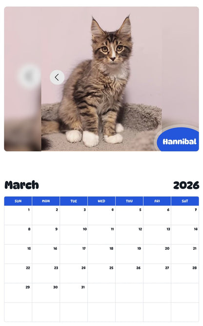 November 2025 - October 2026 Hannibal - Pawidols Pet Calendar