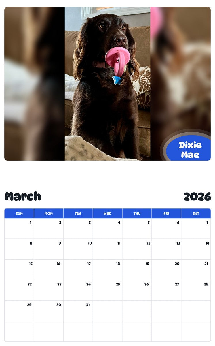 November 2025 - October 2026 Dixie Mae - Pawidols Pet Calendar