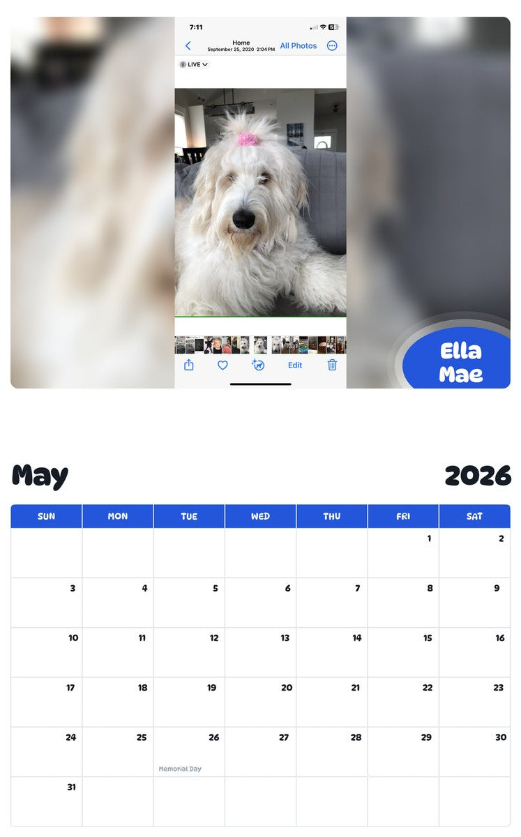2026 - 2027 Ella Mae - Pawidols Pet Calendar