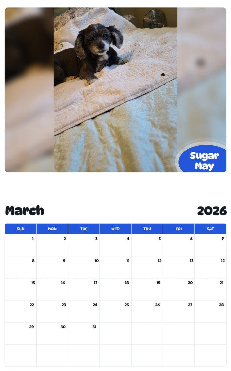 November 2025 - October 2026 Sugar May - Pawidols Pet Calendar