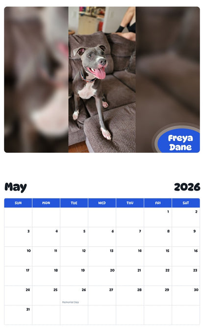 2026 - 2027 Freya Dane - Pawidols Pet Calendar
