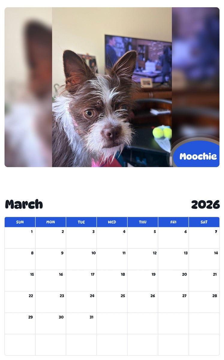 November 2025 - October 2026 Moochie - Pawidols Pet Calendar