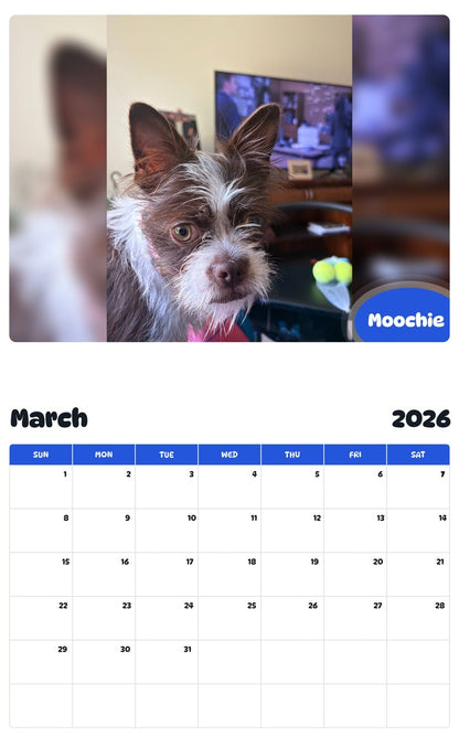November 2025 - October 2026 Moochie - Pawidols Pet Calendar