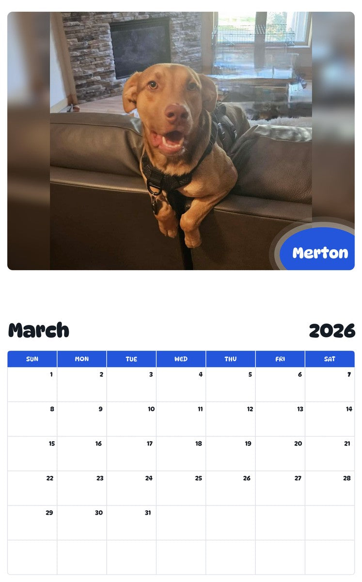 November 2025 - October 2026 Merton - Pawidols Pet Calendar