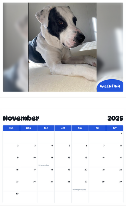 July 2025 - June 2026 Valentina - Pawidols Pet Calendar
