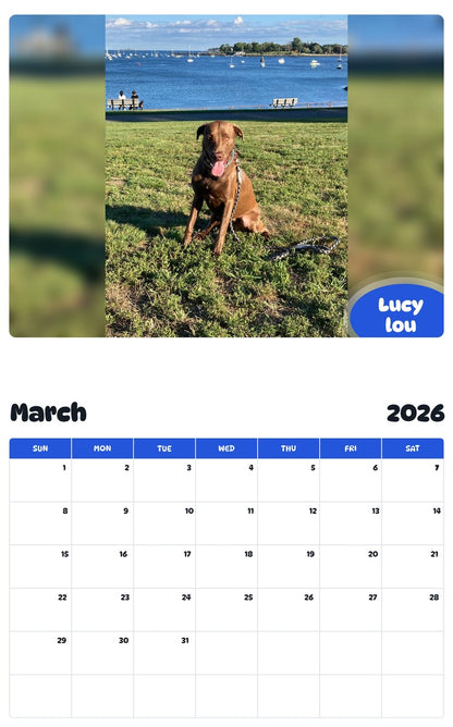 November 2025 - October 2026 Lucy lou - Pawidols Pet Calendar