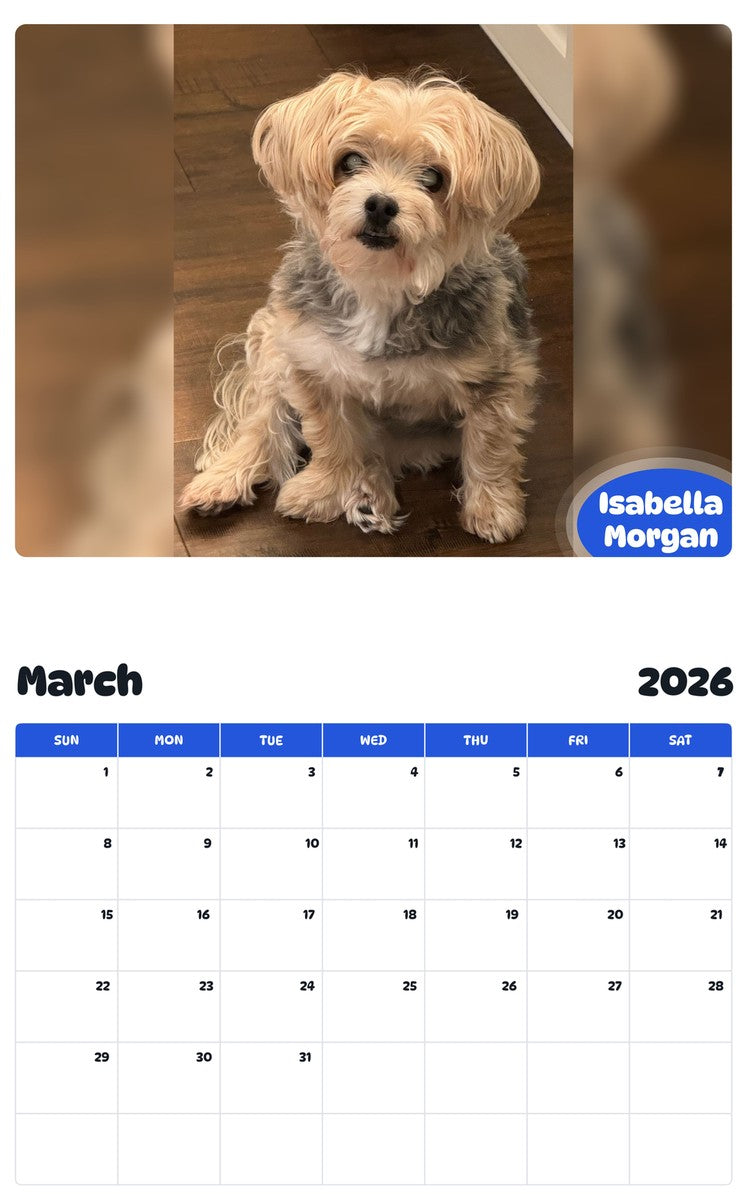 November 2025 - October 2026 Isabella Morgan - Pawidols Pet Calendar