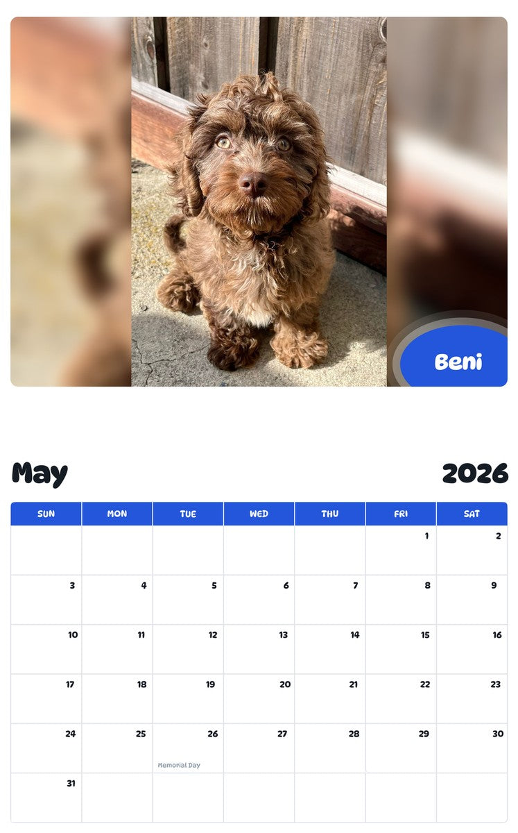 2026 - 2027 Beni - Pawidols Pet Calendar