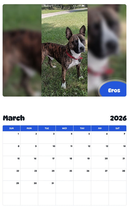 November 2025 - October 2026 Eros - Pawidols Pet Calendar