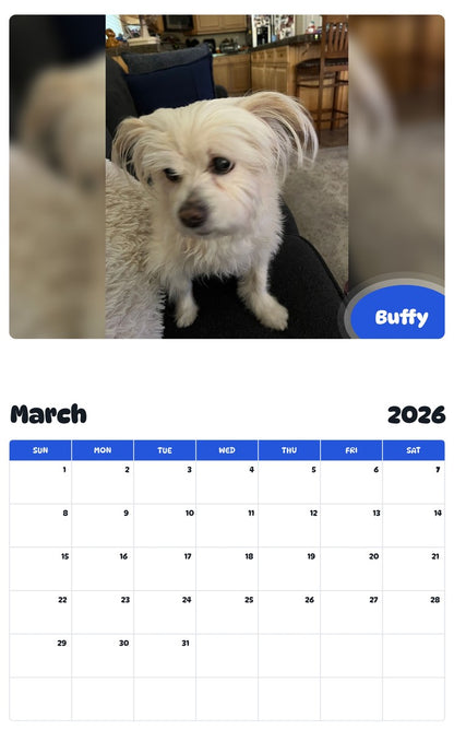 November 2025 - October 2026 Buffy - Pawidols Pet Calendar