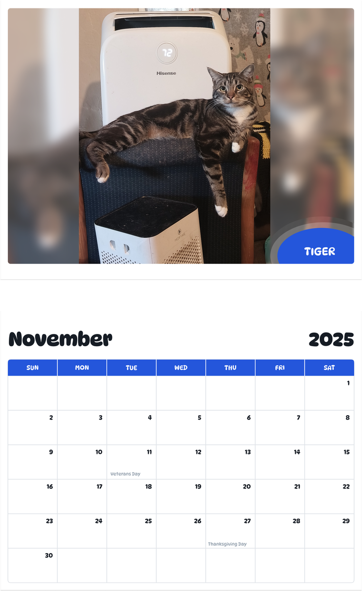 July 2025 - June 2026 Tiger - Pawidols Pet Calendar