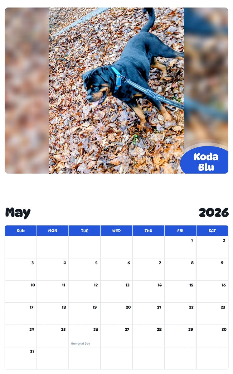 2026 - 2027 Koda Blu - Pawidols Pet Calendar