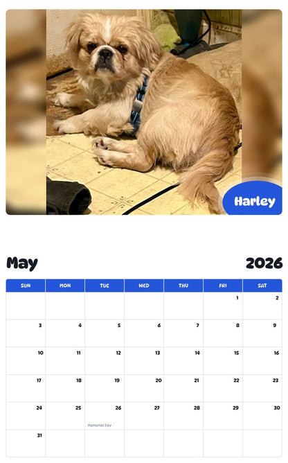 2026 - 2027 Harley - Pawidols Pet Calendar