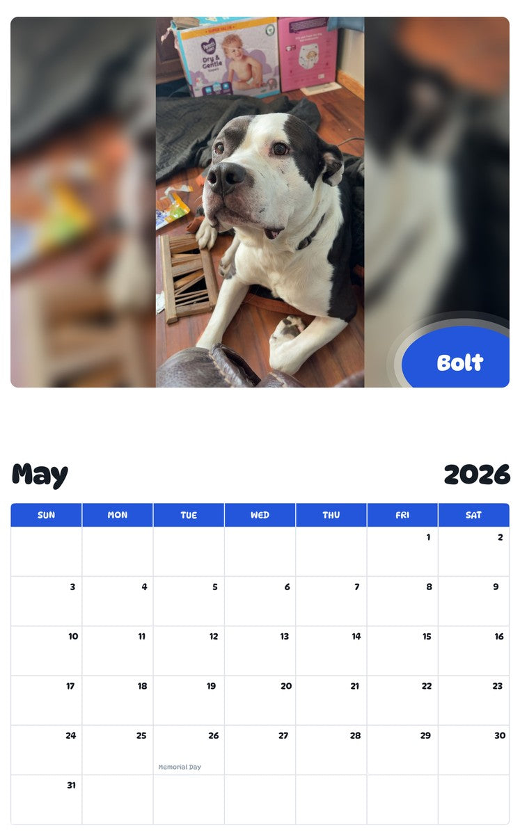 2026 - 2027 Bolt - Pawidols Pet Calendar