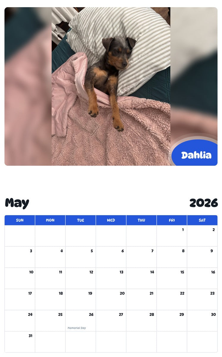 2026 - 2027 Dahlia - Pawidols Pet Calendar