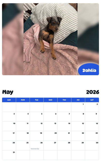 2026 - 2027 Dahlia - Pawidols Pet Calendar