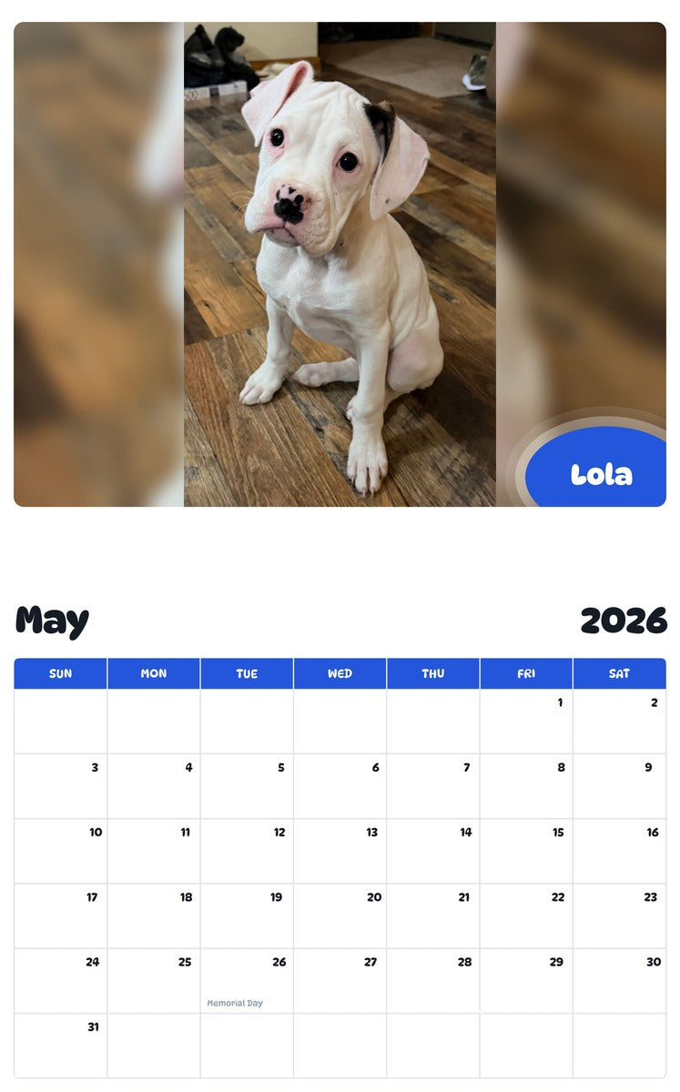 2026 - 2027 Lola - Pawidols Pet Calendar