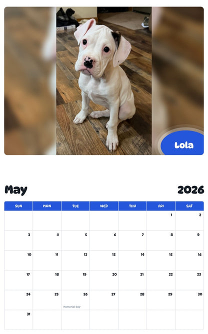 2026 - 2027 Lola - Pawidols Pet Calendar