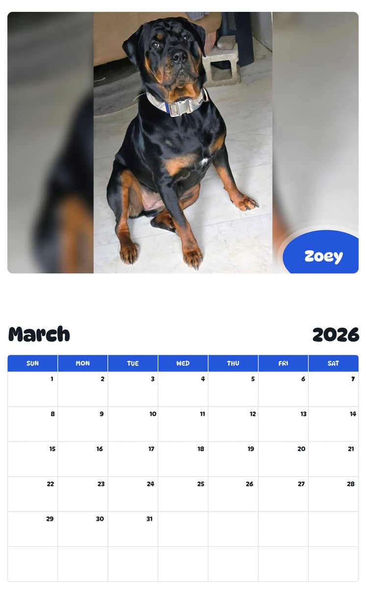 November 2025 - October 2026 Zoey - Pawidols Pet Calendar