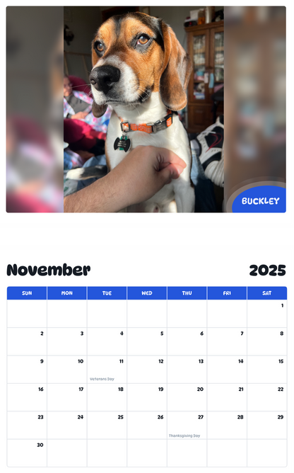July 2025 - June 2026 Buckley - Pawidols Pet Calendar